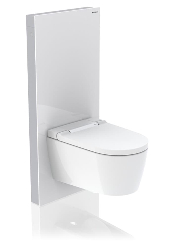 Module sanitaire Geberit Monolith Plus avec WC-douche Geberit AquaClean Sela Module sanitaire Geberit Monolith Plus avec WC-douche Geberit AquaClean Sela