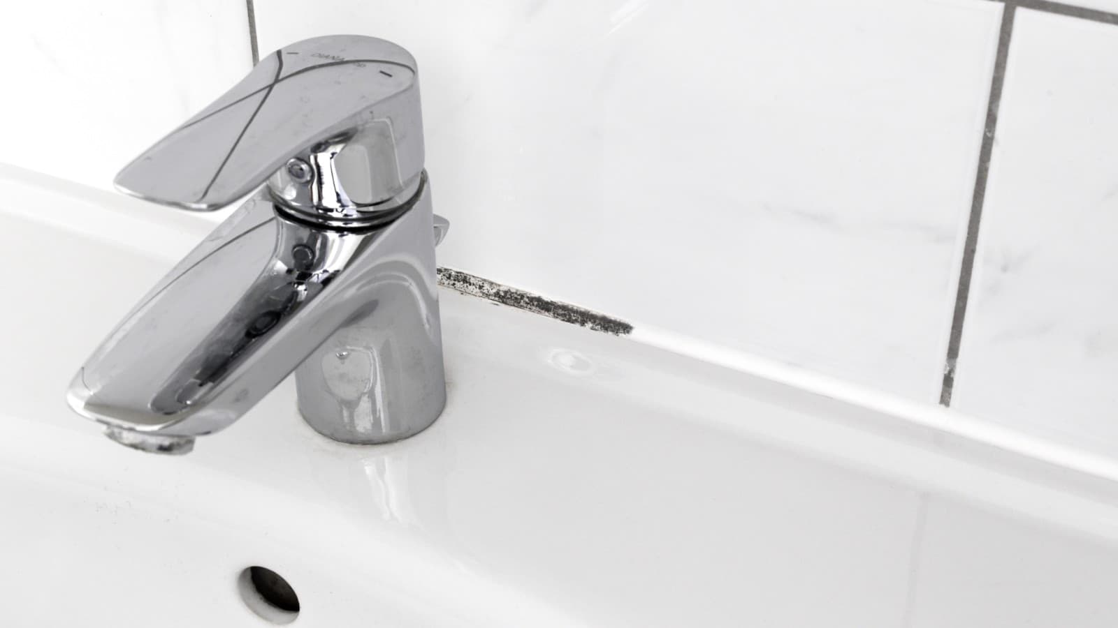 Moisissures sur les joints d’une salle de bains Moisissures sur les joints d’une salle de bains