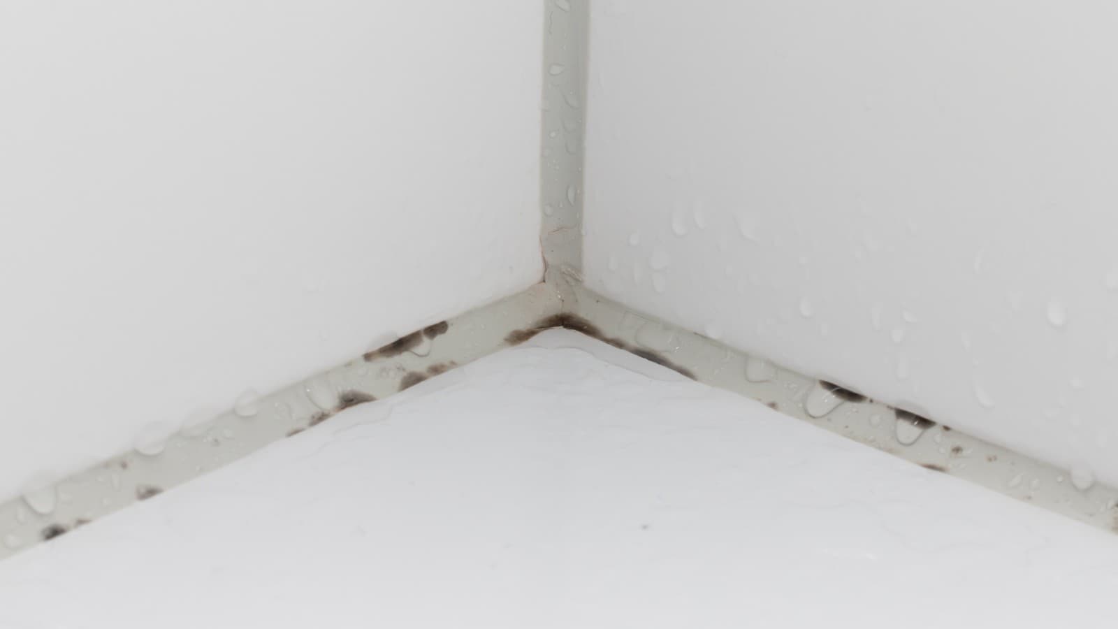 Moisissures sur les joints d’une salle de bains Moisissures sur les joints d’une salle de bains